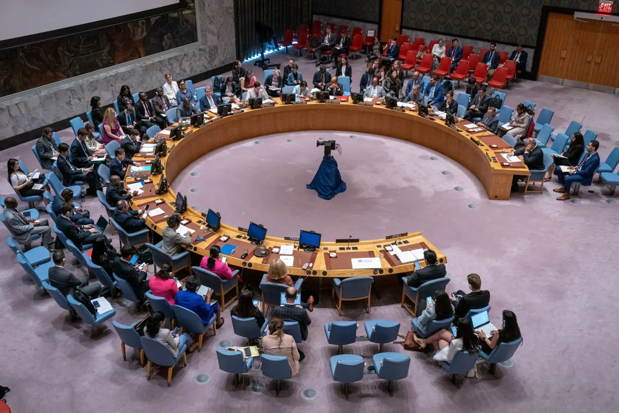 UN Security Council meeting