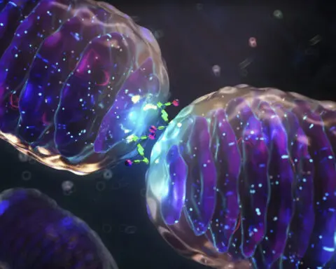 Mitochondria keep your brain cells alive − helping them run smoothly may protect against Parkinson’s disease