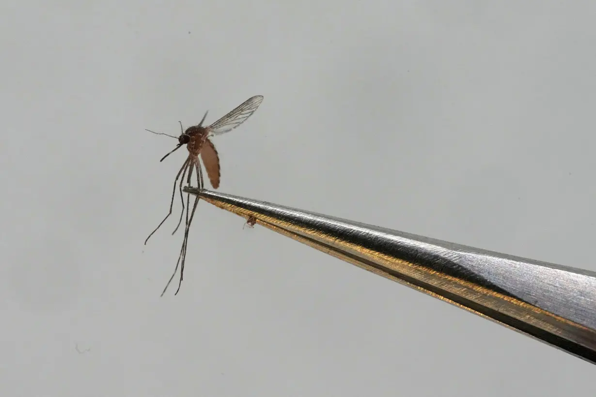 Illinois, Wisconsin report their first West Nile virus deaths of 2024