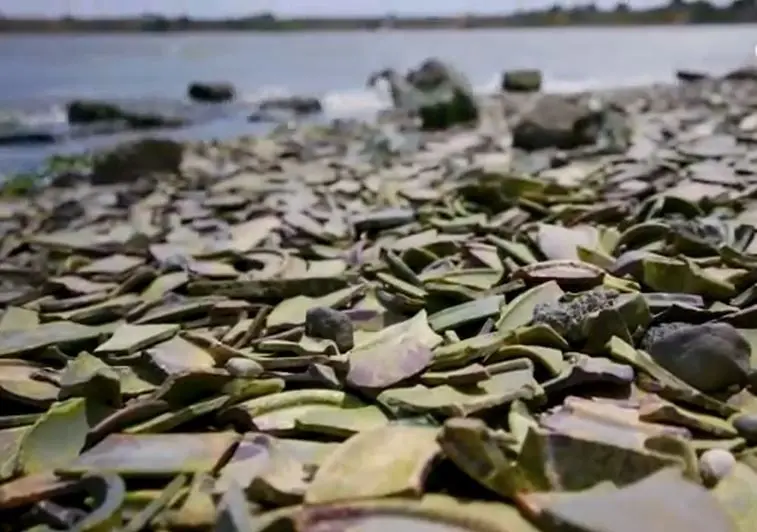 This Richmond, Calif. beach is almost entirely covered in shards of porcelain dinner plates