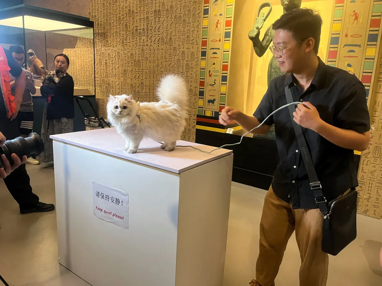 A cat visitor prepares to have its photo taken in front of a statue depicting the cat goddess Bastet at Shanghai Museum's 