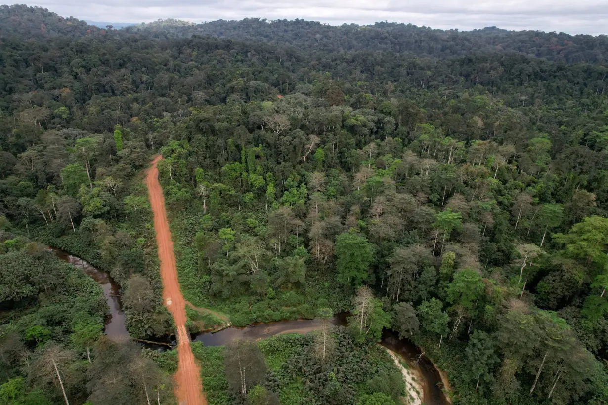 FILE PHOTO: Gabon is betting that careful logging can safeguard the vast wealth of its forests