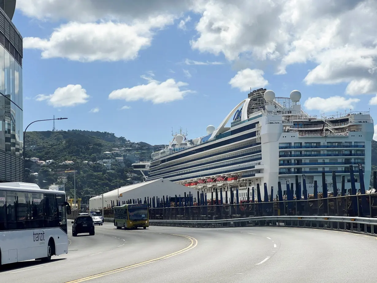 FILE PHOTO: The Grand Princess cruise ship is docked at Wellington Harbour