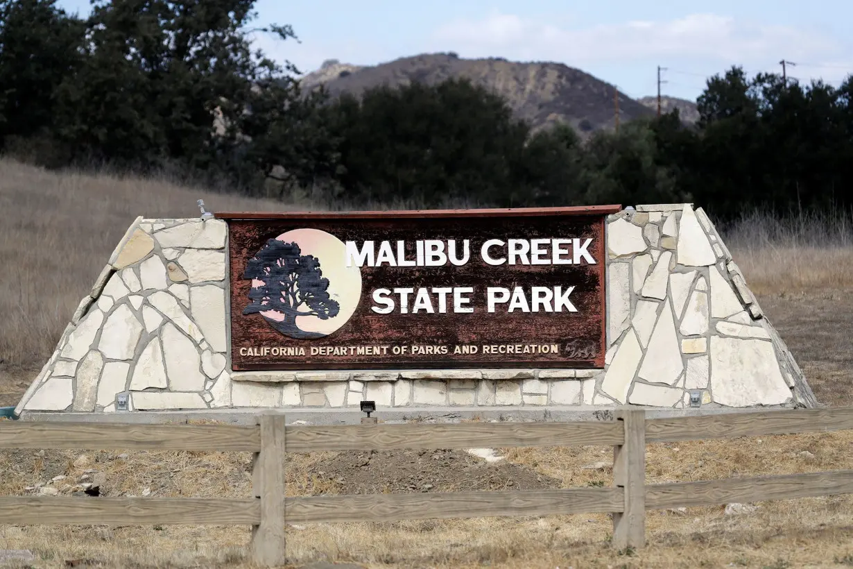 Family picnic at Los Angeles park takes a terrifying turn when mountain lion attacks child