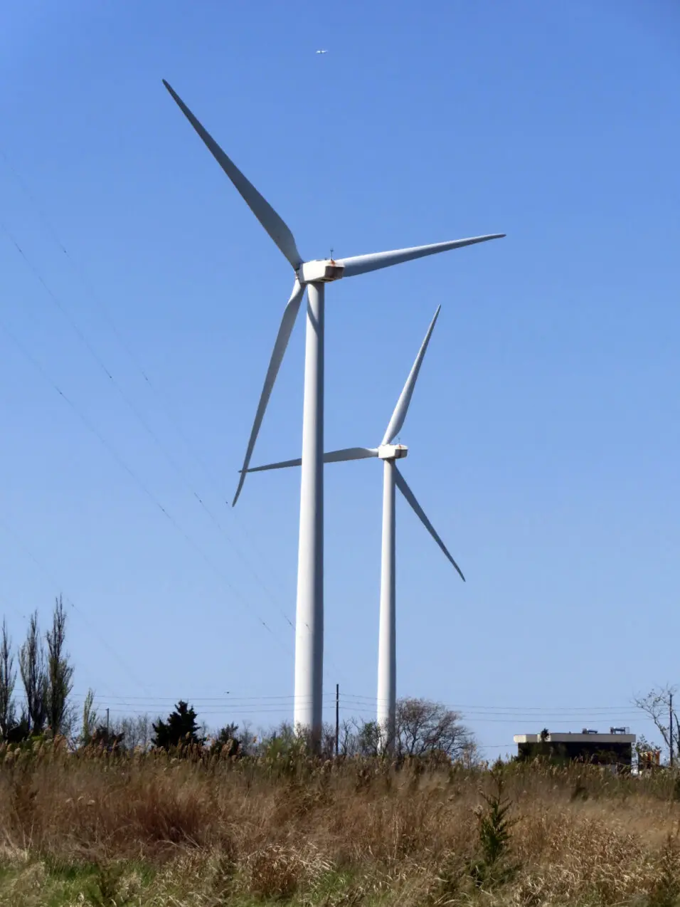 Offshore Wind New Jersey