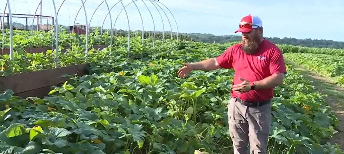 North Carolina pumpkin season hit hard as farmers recover from extreme summer weather