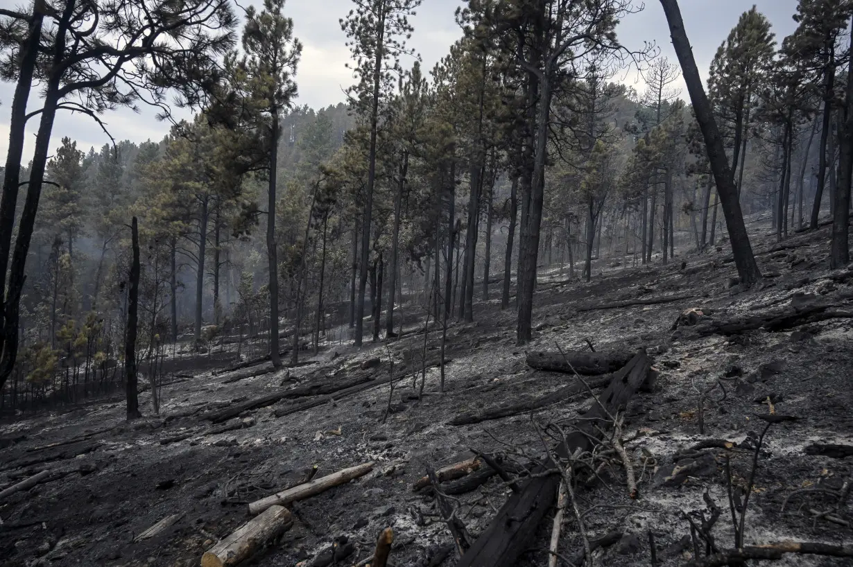 Crews slow progress of Sierra wildfire, but evacuations orders remain