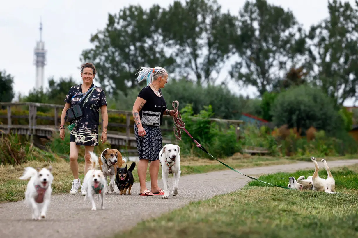 Dog Deezi from an Istanbul shelter has found a home with owners Caroline and Meike in The Netherlands