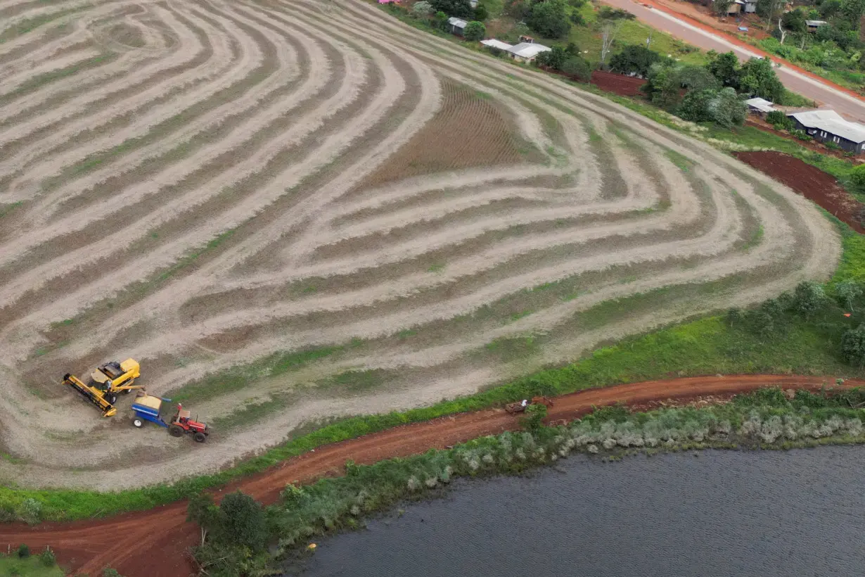 Soy grown illegally on Brazilian tribal lands finds its way to global markets