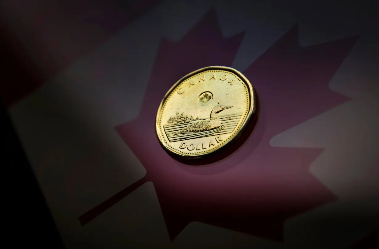 A Canadian dollar coin, commonly known as the 