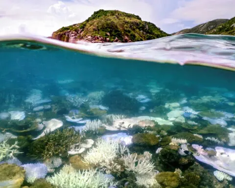 Australia’s Great Barrier Reef tries to make sustainability cool