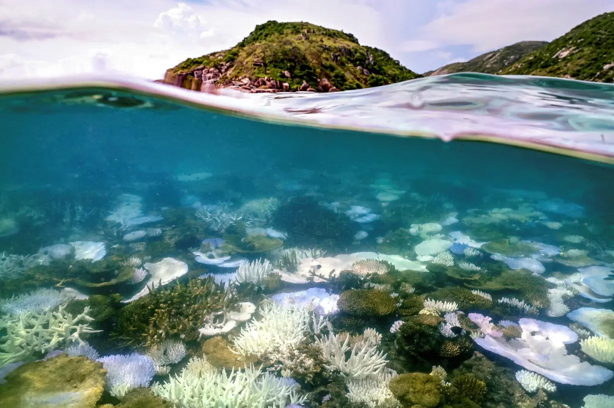 Australia's Great Barrier Reef tries to make sustainability cool