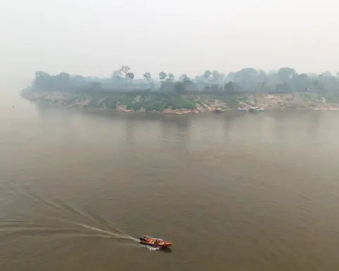 Wildfire destroys 20% of Brasilia forest, arson suspected