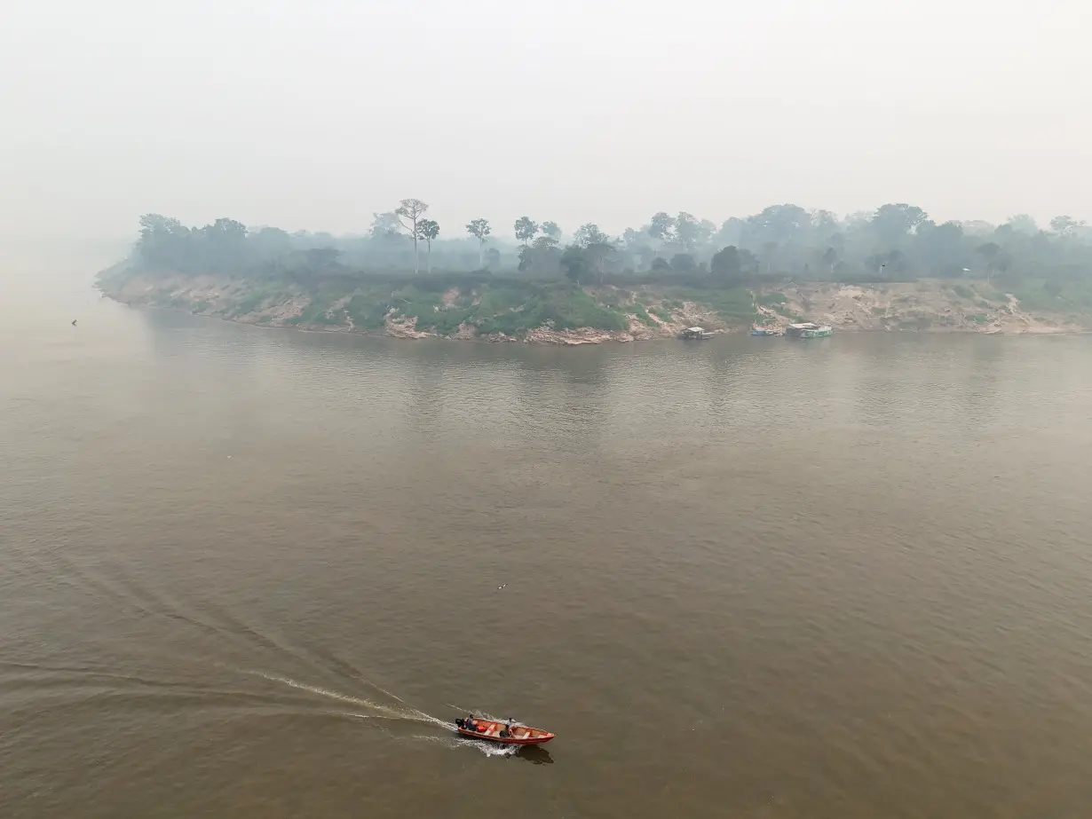 Forest fires in the Amazon