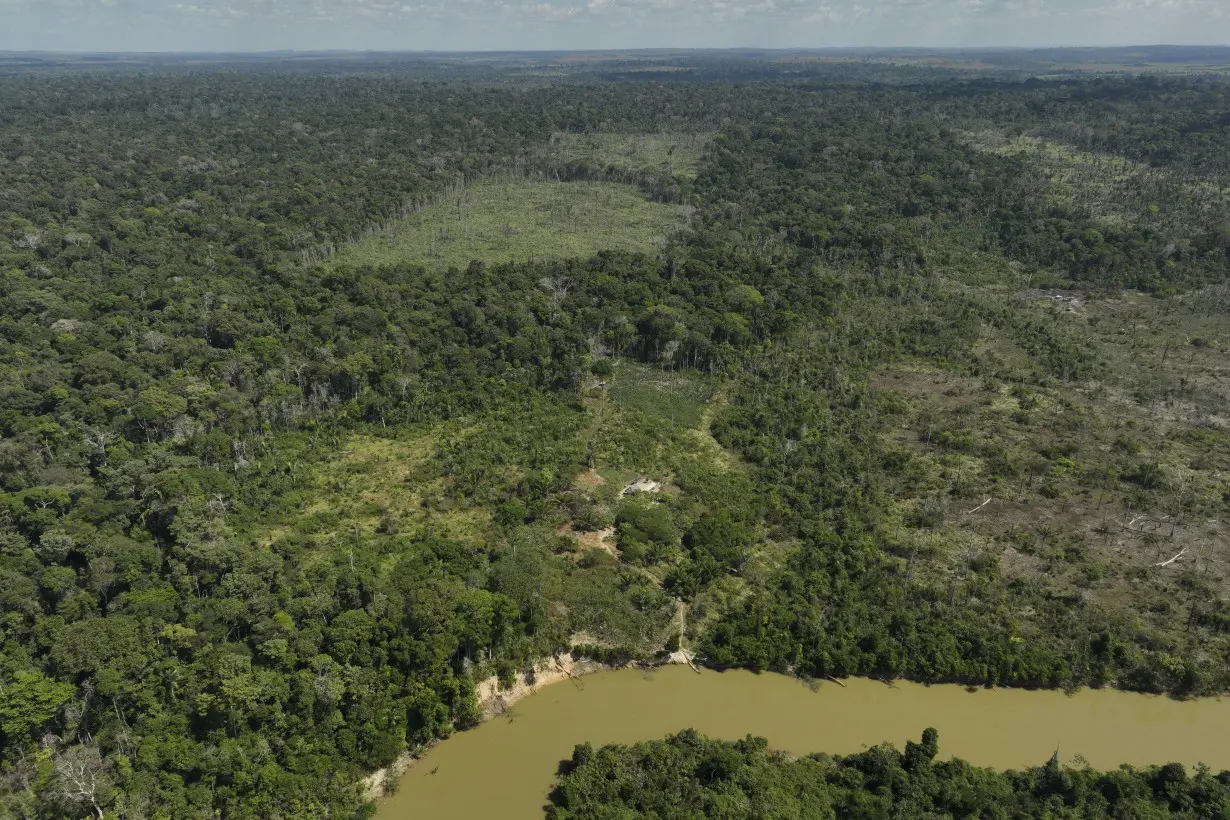 Brazil Cattle Deforestation Prosecution