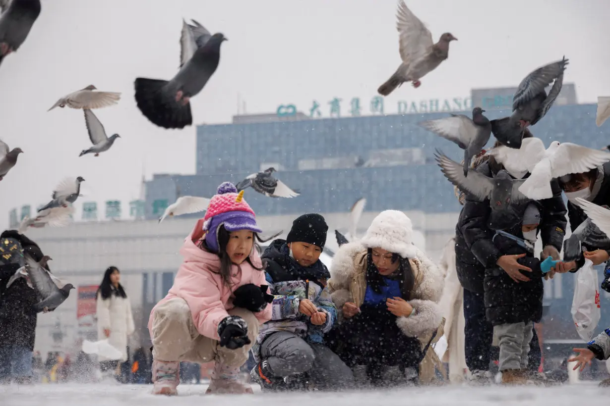 FILE PHOTO: Children feed pigeons in Harbin