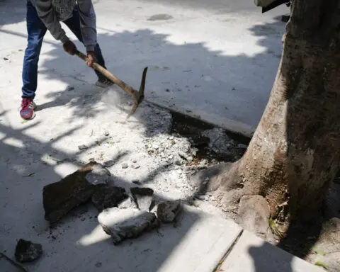 El Comandante Hernández leads ‘Tree Army’ in defense of Mexico City’s trees