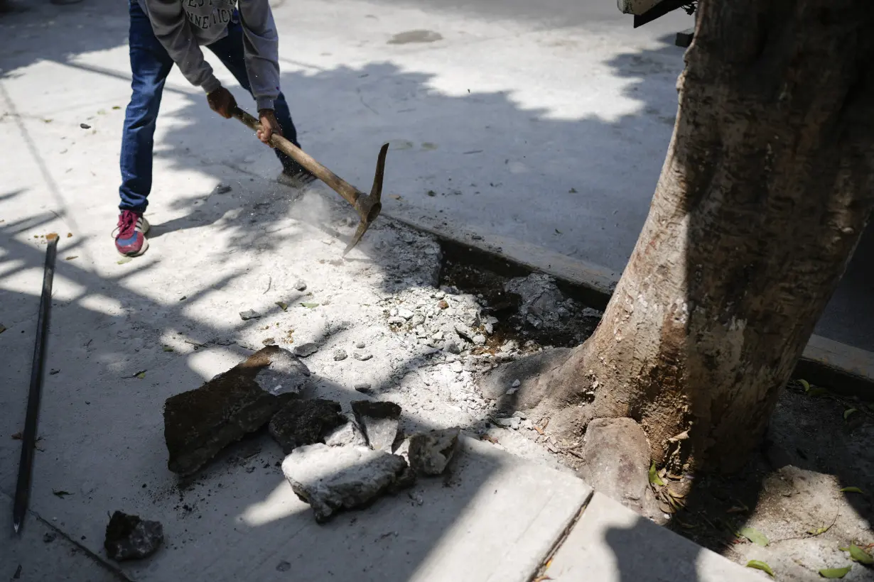 Climate Mexico Tree Army