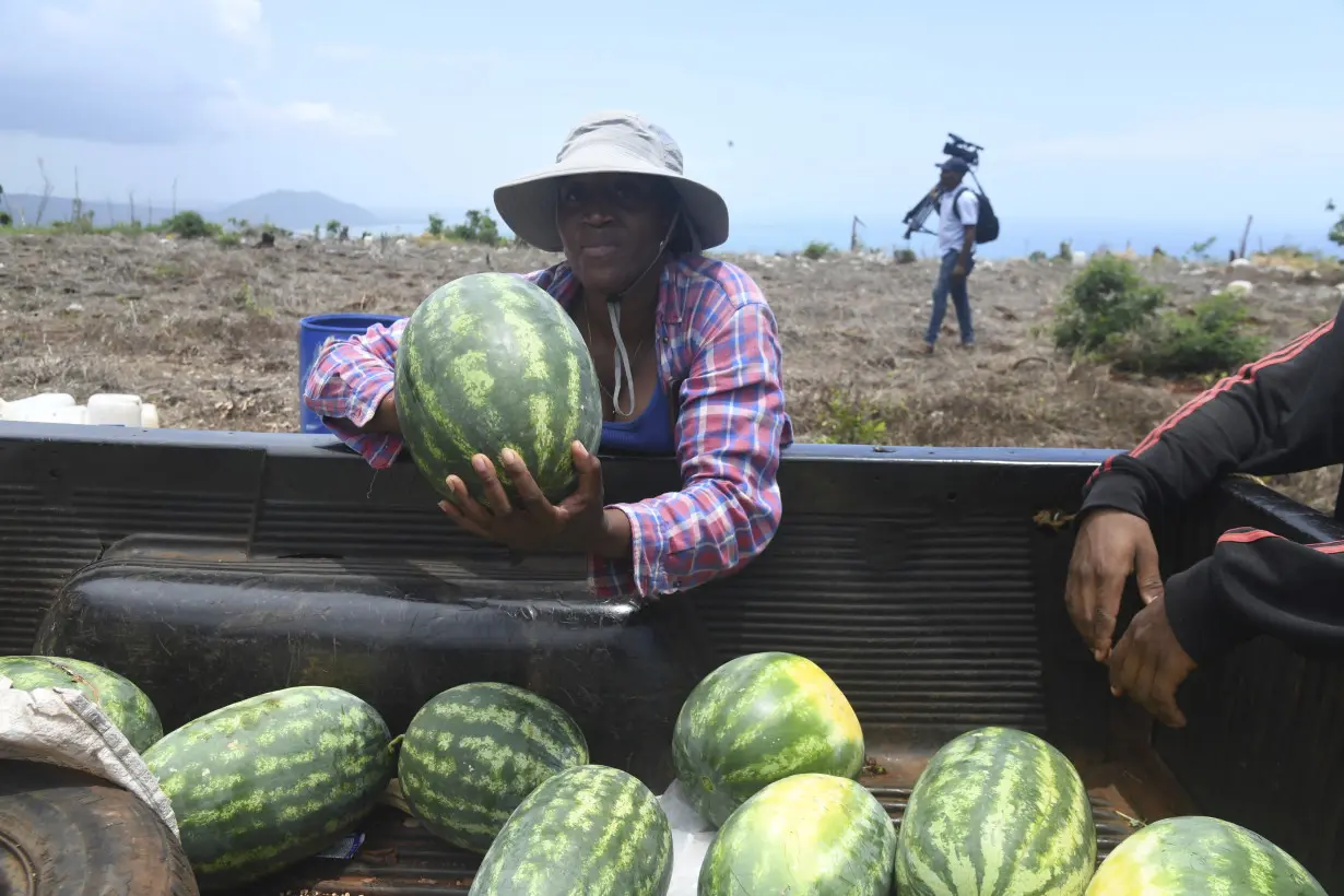 Philanthropy Jamaica Beryl Farmers