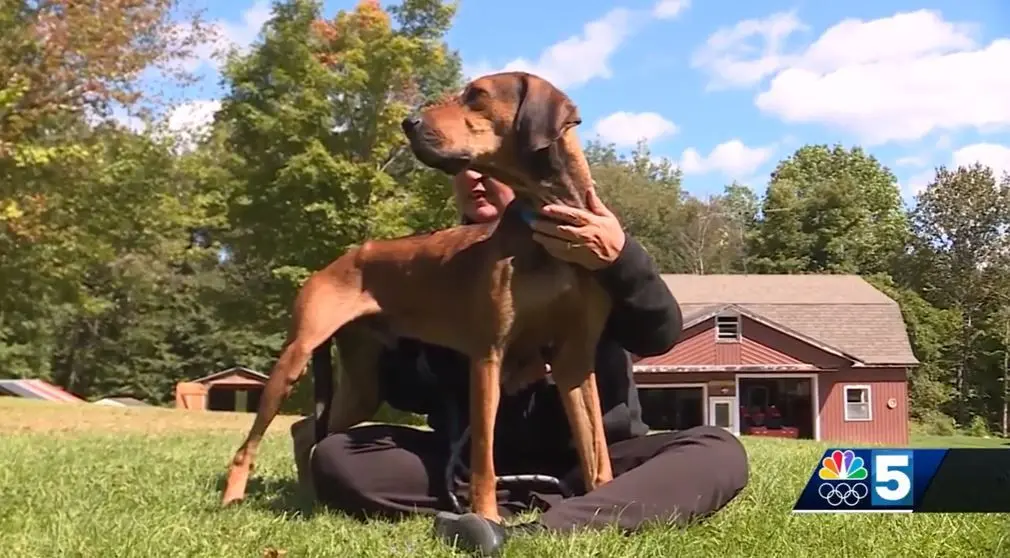 Dog nicknamed Buckethead rescued after more than a week of search efforts