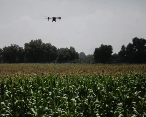 Lawmakers want US to address risks posed by Chinese agriculture drones