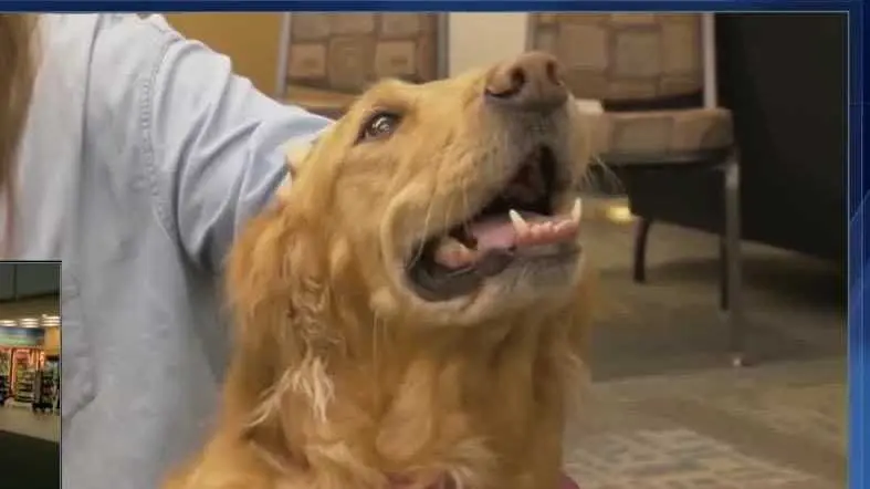 Meet the local therapy dog heading to Georgia to comfort school shooting victims