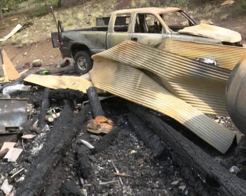 Cabin explosion kills a dog and leaves a man with severe burns