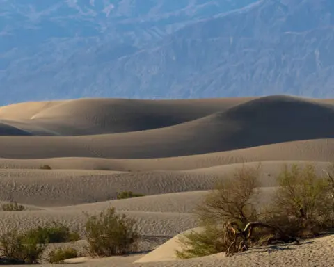 Death Valley National Park has its hottest summer on record