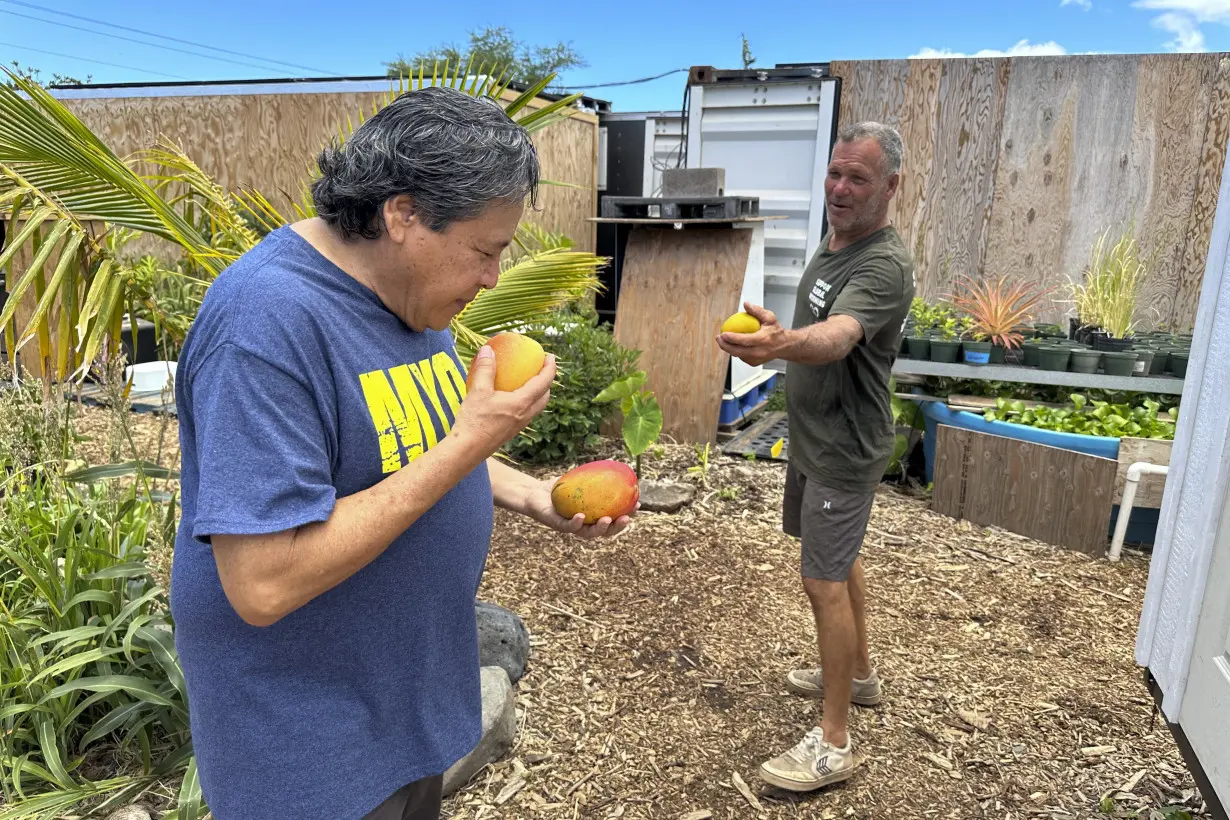 Hawaii Wildfire Landfill Fight