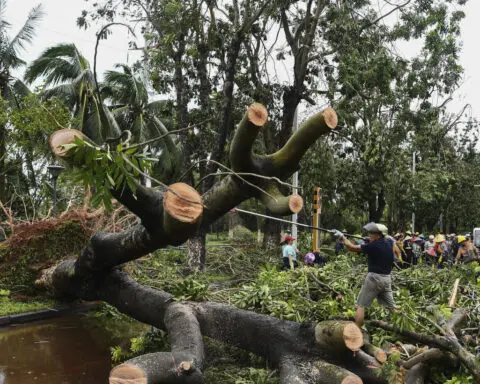 Typhoon Yagi leaves at least 4 dead and scores injured in Vietnam