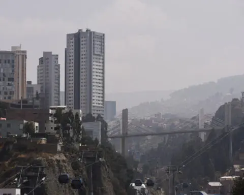 Bolivia declares national emergency due to forest fires