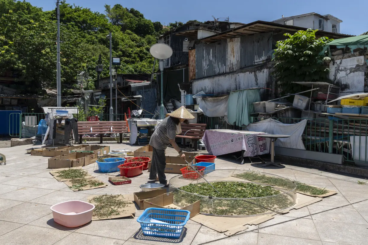 Hong Kong Squatter Settlement