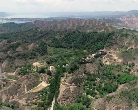The controversial plan to turn a desert green