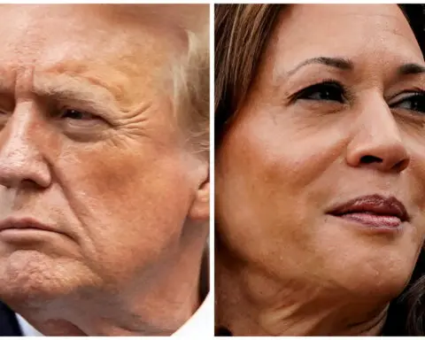 Workers at several large US tech companies overwhelmingly back Kamala Harris, data shows