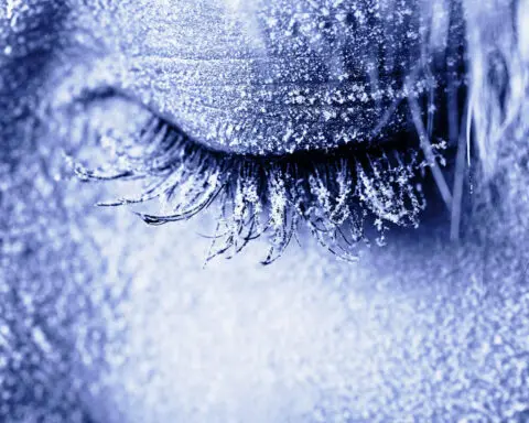 Found dead in the snow − how microbes can help pinpoint time of death for forensic investigations in frigid conditions