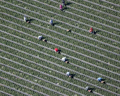US Congress must pass farm spending bill this year, say commodity groups