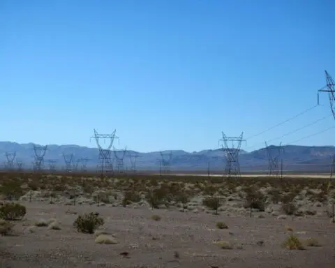 US approves major transmission project in Nevada