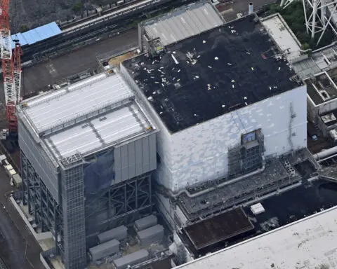 A robot begins removal of melted fuel from the Fukushima nuclear plant. It could take a century