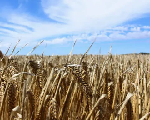 Australian farmers protest animal, environment policies they say harm them