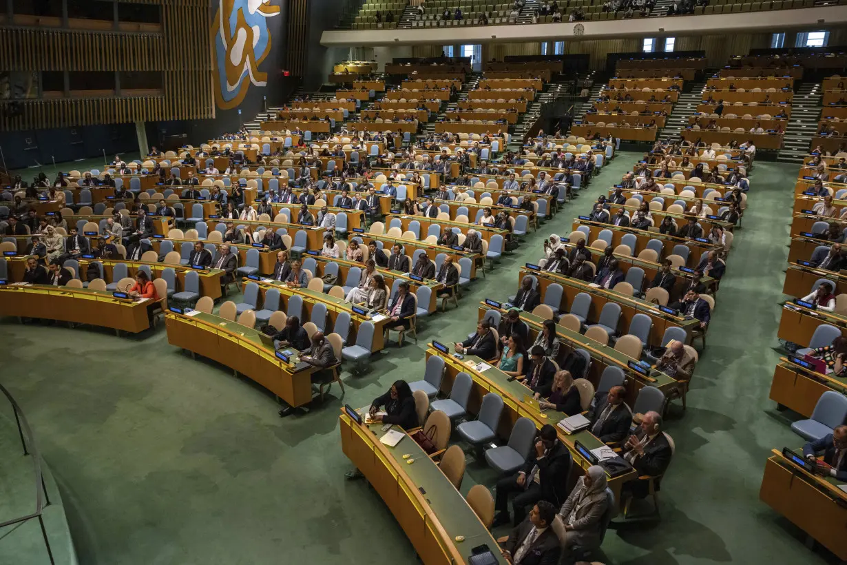 UN General Assembly