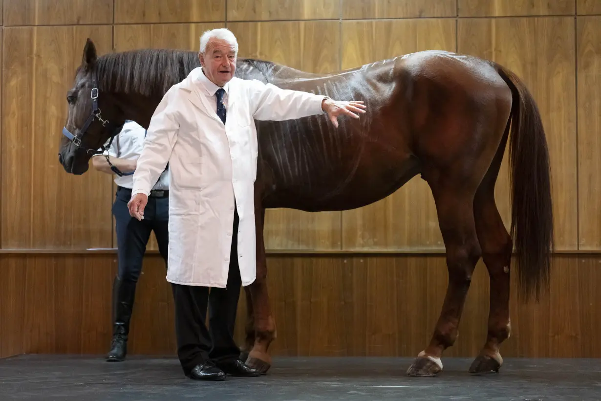 No neigh-sayers: Live horses join first-day veterinary students for anatomy lecture in Hungary