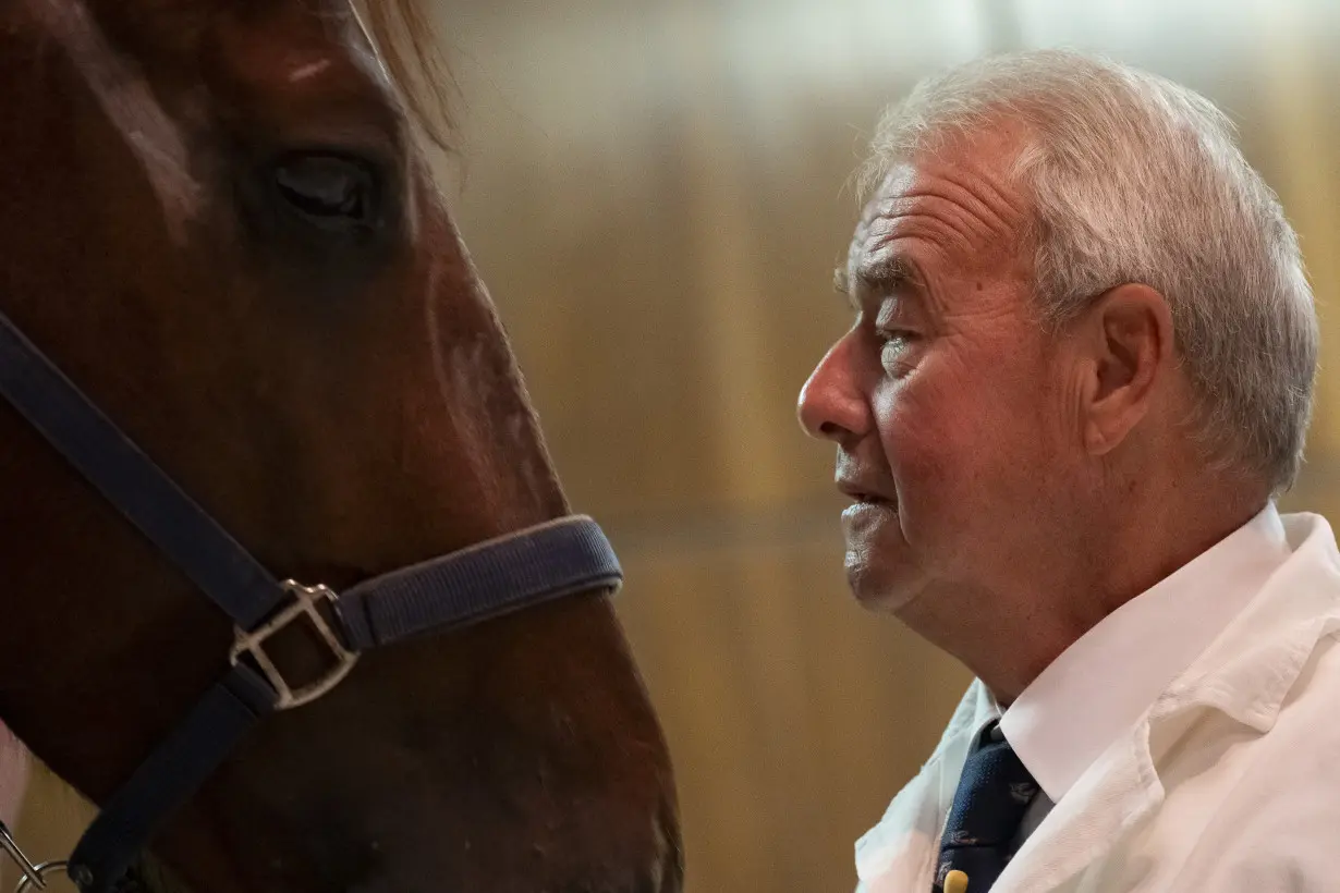 No neigh-sayers: Live horses join first-day veterinary students for anatomy lecture in Hungary