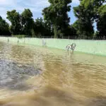 Floods gush through Nigerian zoo, sweeping snakes and crocodiles into neighborhoods