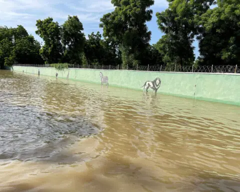 Floods gush through Nigerian zoo, sweeping snakes and crocodiles into neighborhoods