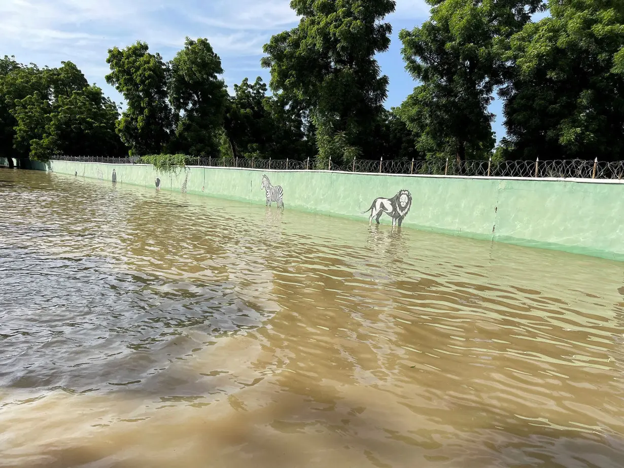 The flooded yard of Sanda Kyarimi Park Zoo is pictured in Maiduguri on Tuesday, September 10.