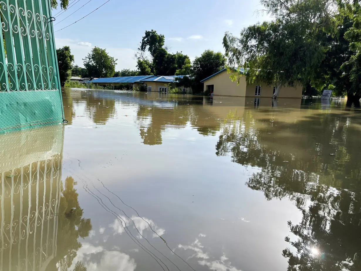 Floods decimate Nigerian zoo, wash crocodiles into community, in Maiduguri