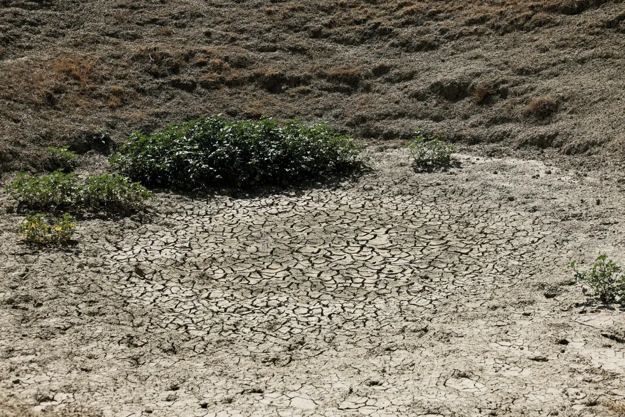 FILE PHOTO: Water profiteers thrive as drought intensifies, in Sicily