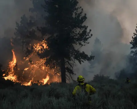 CLIMATE GLIMPSE: Wildfires plague U.S. West and Brazil, Yagi rampages in Vietnam