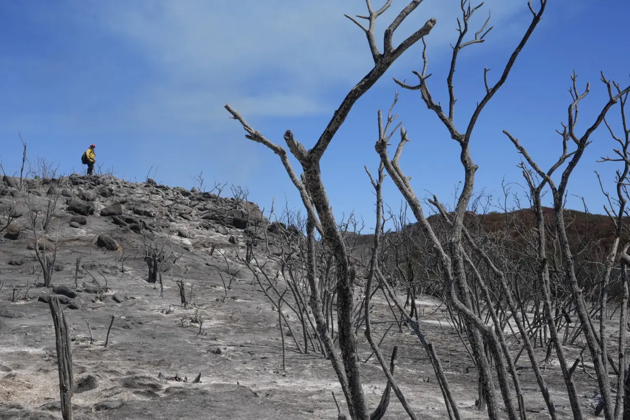 Wildfires in Southern California torch dozens of homes and force thousands to evacuate