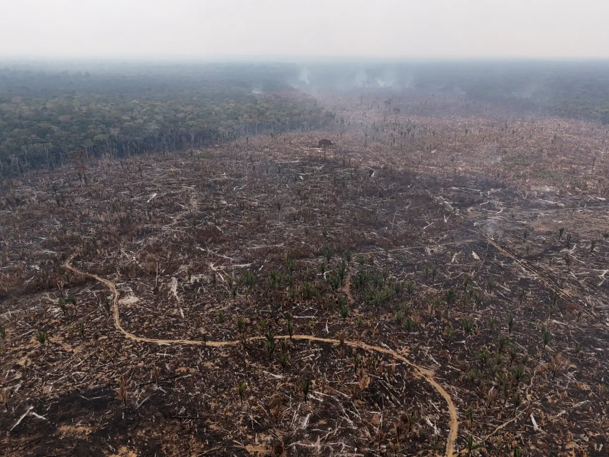 FILE PHOTO: Drought affecting the Amazon